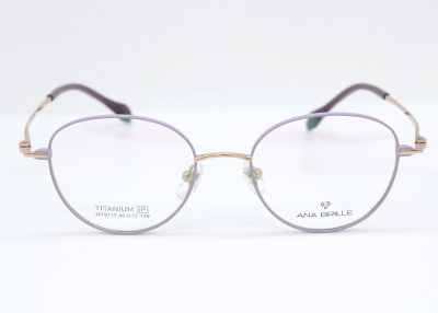 Оправа Ana Brille MT9117 C4 титан дети 2