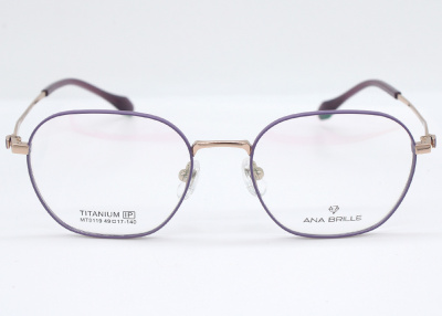 Оправа Ana Brille MT9119 C3 титан дети 2
